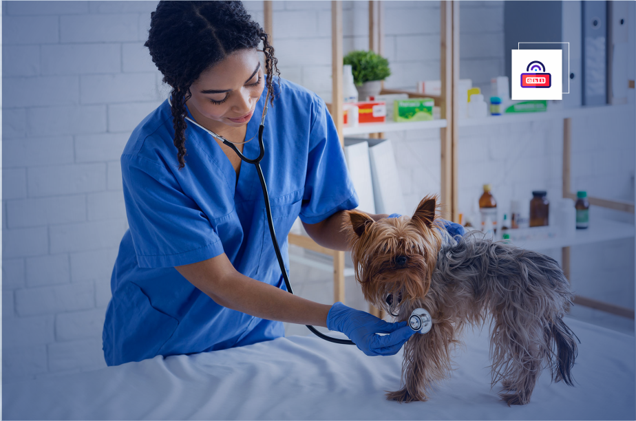 Pet Insurance What You Need to Know In 2024 AbdulTech News